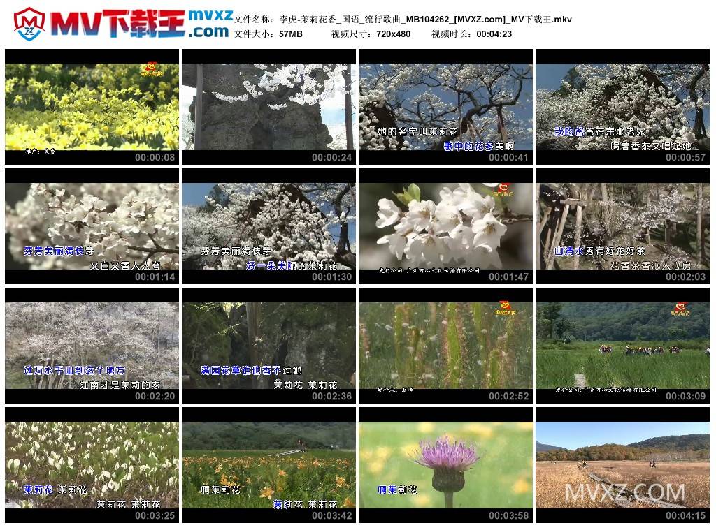 李虎-茉莉花香_国语_流行歌曲_MB104262